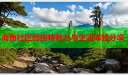 海角社区的独特魅力与生活体验分享