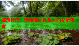 海角社区：连接海内外华人的交流平台