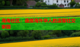 海角社区：连接海外华人的温馨社交家园
