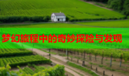 梦幻旅程中的奇妙探险与发现