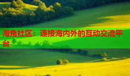 海角社区：连接海内外的互动交流平台