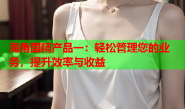 海角国精产品一：轻松管理您的业务，提升效率与收益