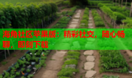海角社区苹果版：精彩社交，随心畅聊，即刻下载
