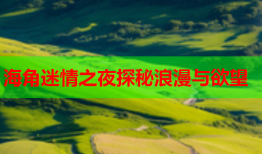 海角迷情之夜探秘浪漫与欲望