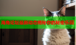 海角论坛最新动态揭秘你的秘密乐园