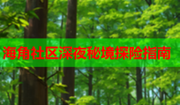 海角社区深夜秘境探险指南