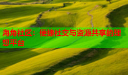 海角社区：便捷社交与资源共享的理想平台