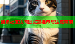 海角社区访问浏览器推荐与注意事项