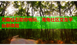 无限钻石助你畅玩，海角社区交友平台新体验