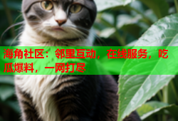 海角社区：邻里互动，在线服务，吃瓜爆料，一网打尽