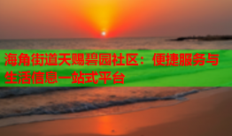 海角街道天赐碧园社区：便捷服务与生活信息一站式平台