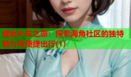 缅北火车之旅：探索海角社区的独特魅力与便捷出行(1)