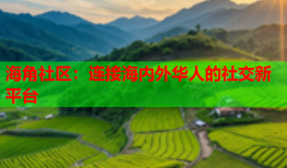 海角社区：连接海内外华人的社交新平台