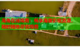 海角在线观看：畅享海量影视资源，随时随地尽情观看