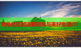 海角社区的温馨时光与美好生活(1)