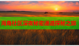 海角社区深夜秘密通道探秘之旅