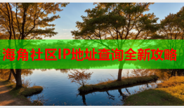 海角社区IP地址查询全新攻略