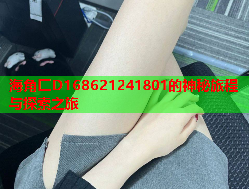 海角匚D168621241801的神秘旅程与探索之旅