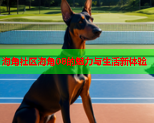 海角社区海角08的魅力与生活新体验