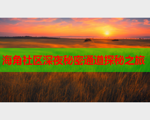 海角社区深夜秘密通道探秘之旅