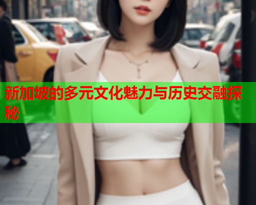 新加坡的多元文化魅力与历史交融探秘