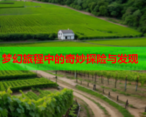梦幻旅程中的奇妙探险与发现