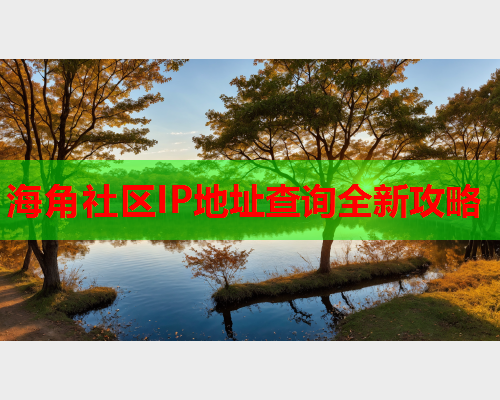 海角社区IP地址查询全新攻略