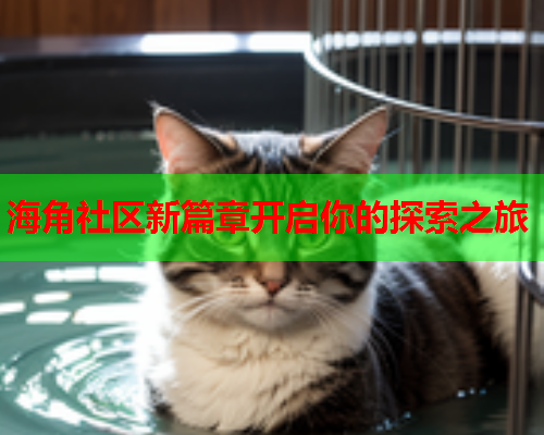 海角社区新篇章开启你的探索之旅