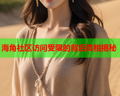 海角社区访问受限的背后真相揭秘