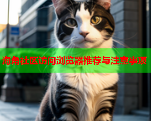 海角社区访问浏览器推荐与注意事项