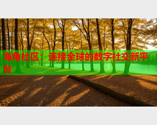海角社区：连接全球的数字社交新平台
