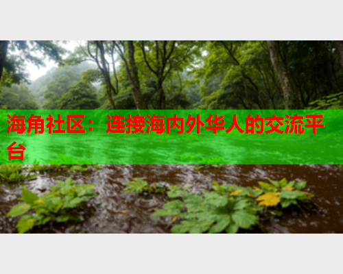 海角社区：连接海内外华人的交流平台