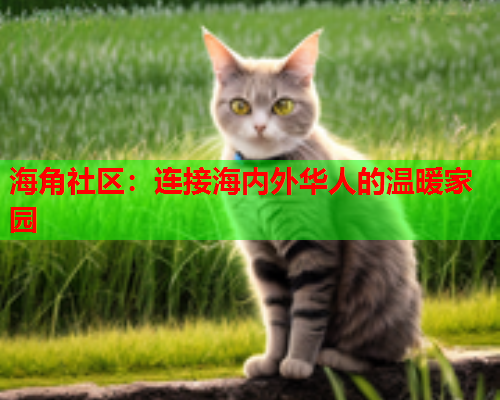 海角社区：连接海内外华人的温暖家园