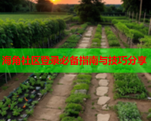 海角社区登录必备指南与技巧分享