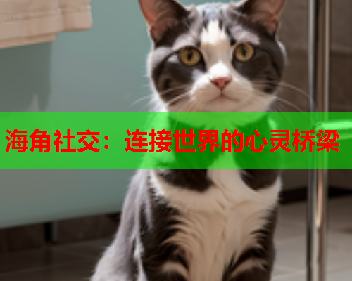 海角社交：连接世界的心灵桥梁