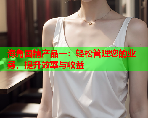 海角国精产品一：轻松管理您的业务，提升效率与收益