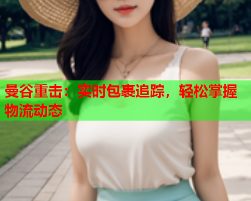 曼谷重击：实时包裹追踪，轻松掌握物流动态