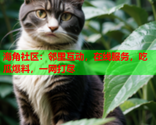 海角社区：邻里互动，在线服务，吃瓜爆料，一网打尽